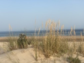 Enlarge photo 153