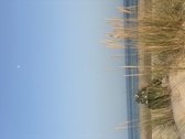 Enlarge photo 152