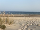 Enlarge photo 151