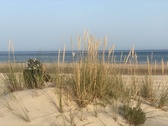 Enlarge photo 149
