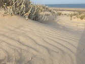 Enlarge photo 148
