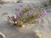Enlarge photo 144