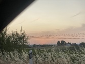 Enlarge photo 133