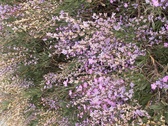 Enlarge photo 129