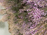 Enlarge photo 126