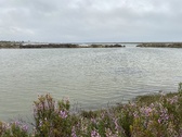 Enlarge photo 123