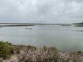 Enlarge photo 124