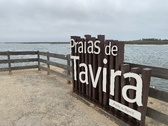 Enlarge photo 121