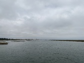 Enlarge photo 116