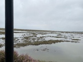 Enlarge photo 119