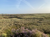 Enlarge photo 114