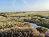 Enlarge photo 113