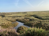 Enlarge photo 111