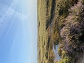 Enlarge photo 110