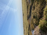 Enlarge photo 109