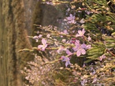 Enlarge photo 107