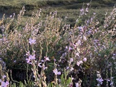 Enlarge photo 106