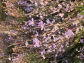 Enlarge photo 102