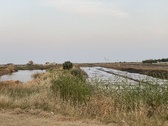 Enlarge photo 98
