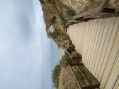 Enlarge photo 96