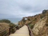 Enlarge photo 94