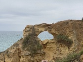 Enlarge photo 93