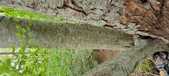 Enlarge photo 33