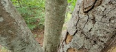 Enlarge photo 31
