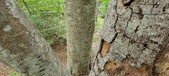Enlarge photo 30