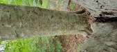 Enlarge photo 36