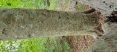 Enlarge photo 35
