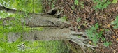 Enlarge photo 52
