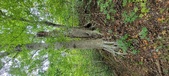 Enlarge photo 51