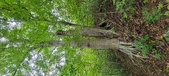 Enlarge photo 57