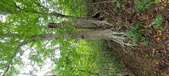 Enlarge photo 56