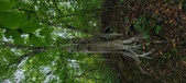 Enlarge photo 58