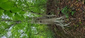 Enlarge photo 65