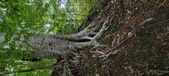 Enlarge photo 69