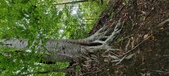 Enlarge photo 68