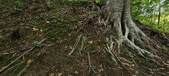 Enlarge photo 73