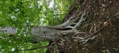 Enlarge photo 70