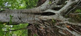 Enlarge photo 75