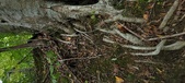 Enlarge photo 80