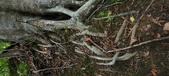 Enlarge photo 79