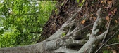 Enlarge photo 82