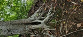 Enlarge photo 89