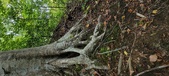 Enlarge photo 88