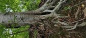 Enlarge photo 86