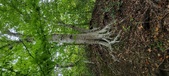 Enlarge photo 91