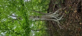 Enlarge photo 90